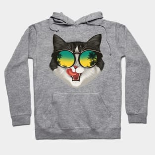 Summer Cat Hoodie